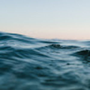 Meet your Posher, Riley